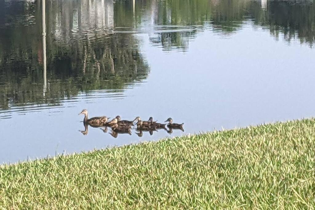 Port Saint Lucie A Little Piece Of Heaven- Peaceful Lake View Apartment- 1 Min From I95 And Turnpike Port St. Lucie Extérieur photo