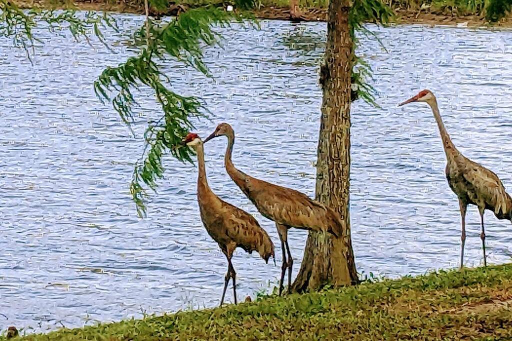 Port Saint Lucie A Little Piece Of Heaven- Peaceful Lake View Apartment- 1 Min From I95 And Turnpike Port St. Lucie Extérieur photo